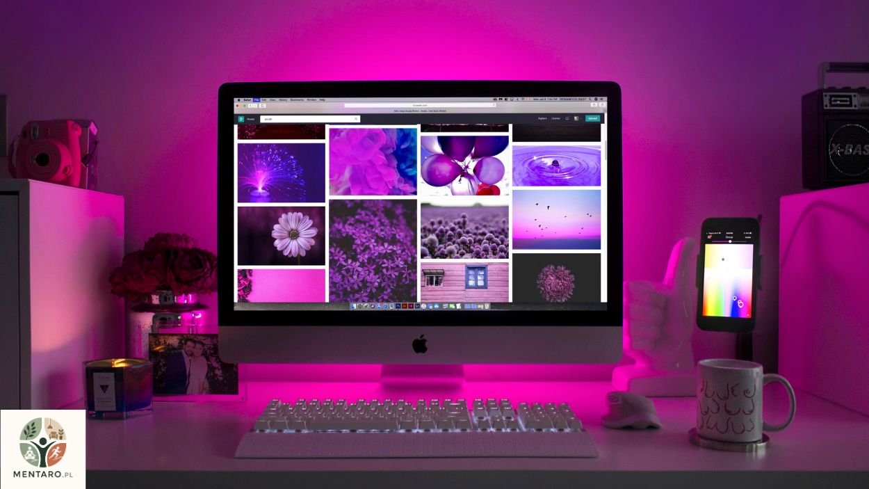 monitor
